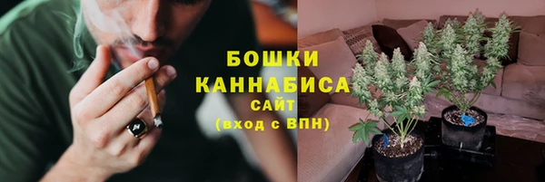 трава Гусев