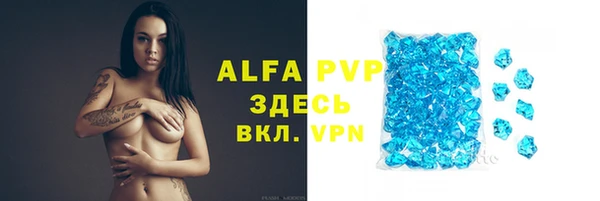 трава Гусев