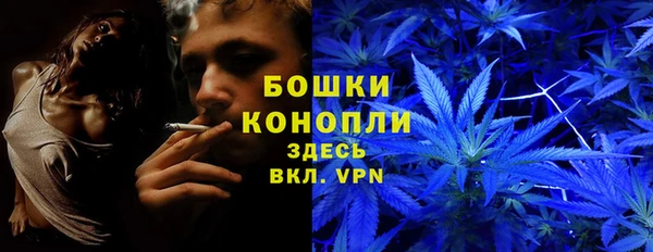 трава Гусев