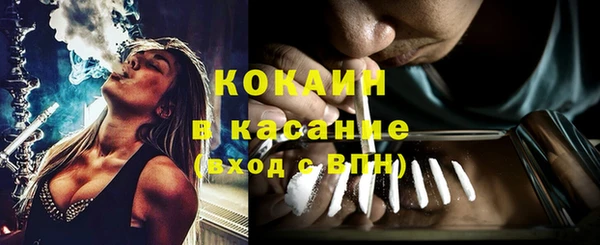 трава Гусев
