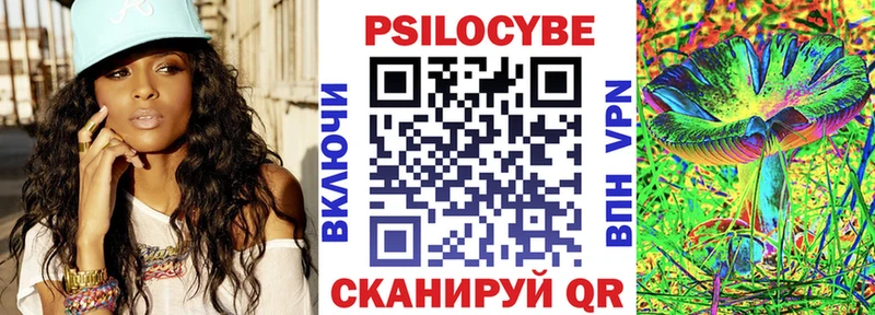 Купить  Обь  Галлюциногенные грибы Psilocybine cubensis 